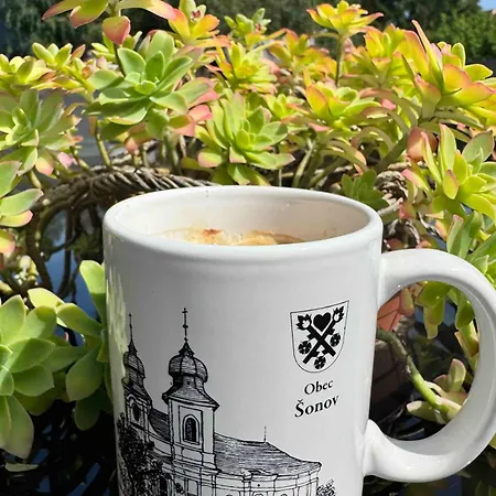 Lejlighed Turisticky *